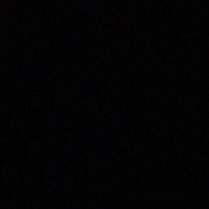 Meet your Posher, Frances